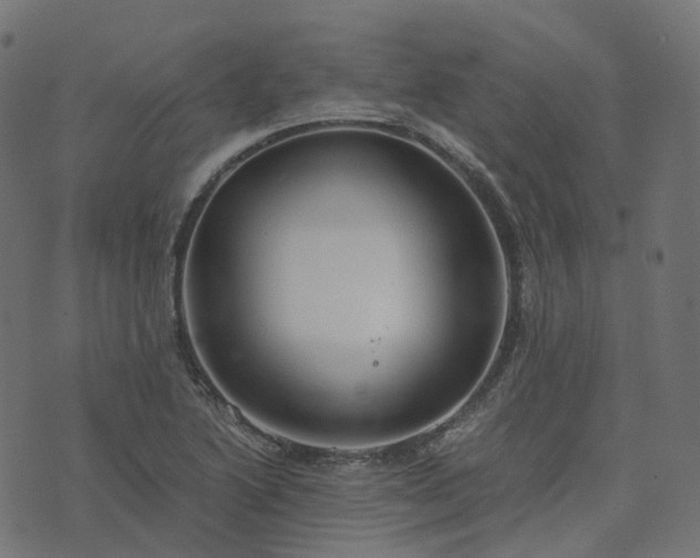 X0000073921222200608181041