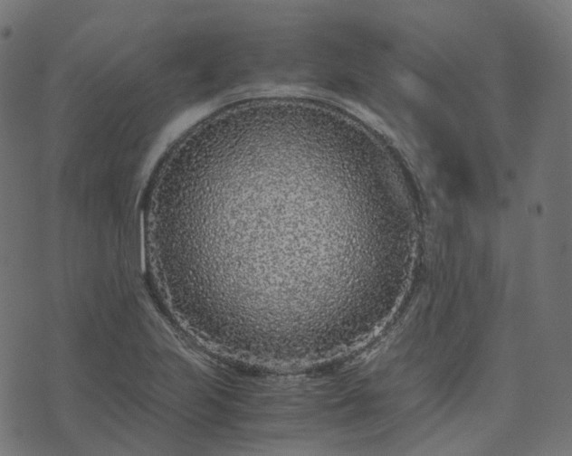 X0000073921223200608181041