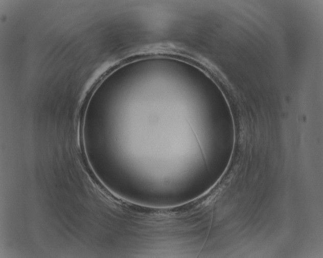 X0000073921224200608181041