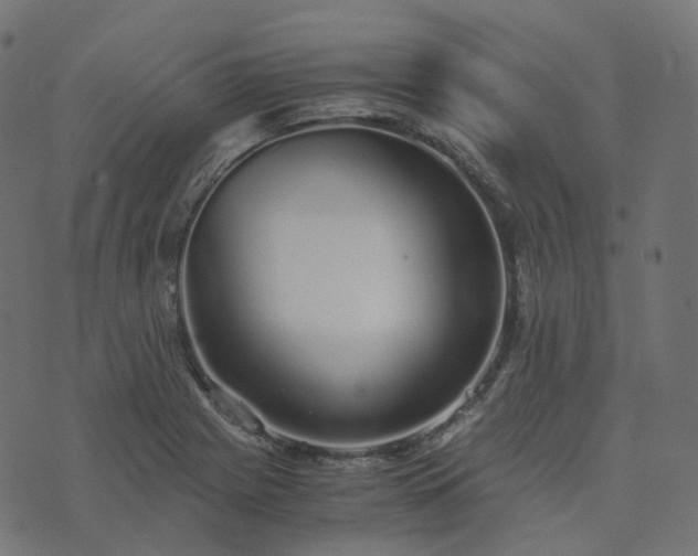 X0000073921225200608181041