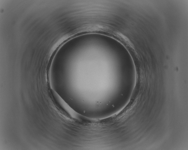 X0000073921226200608181041