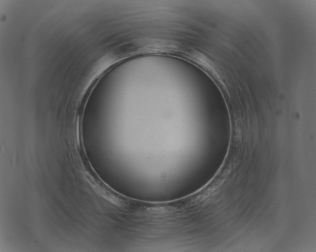 X0000073921227200608181041