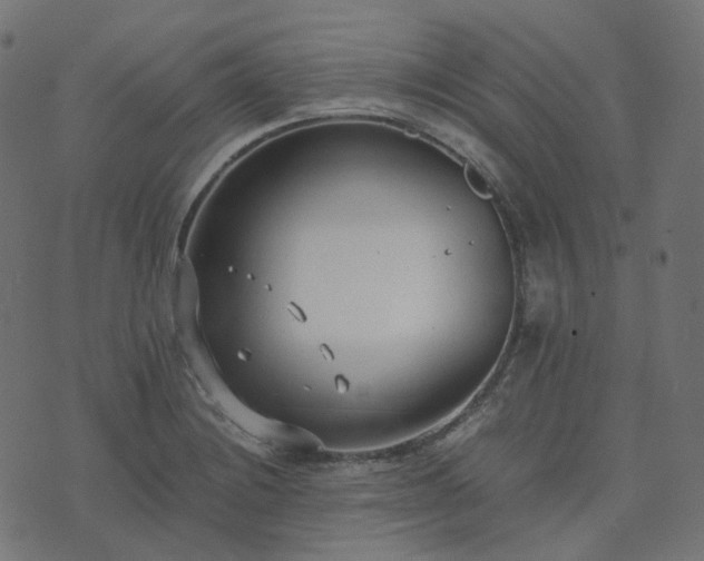 X0000073921228200608181041