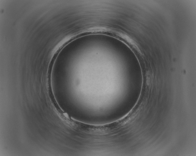 X0000073921229200608181041