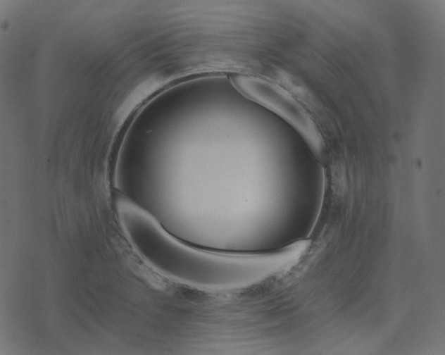 X0000073921230200608181041