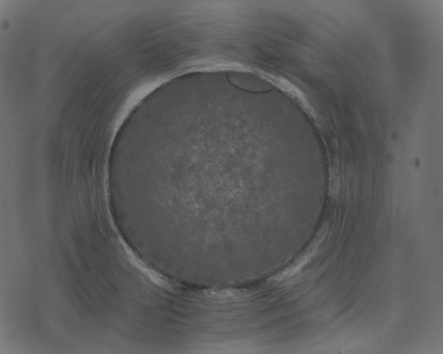 X0000073921231200608181041