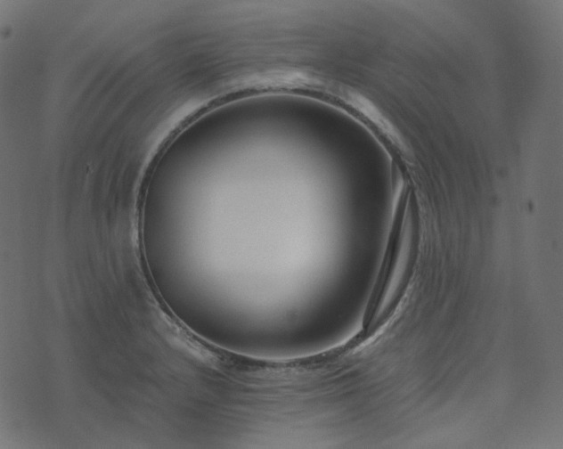 X0000073921232200608181041