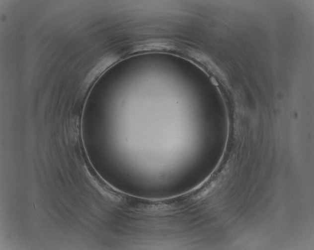 X0000073921233200608181041