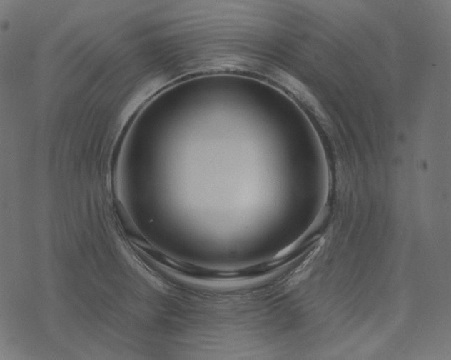 X0000073921234200608181041