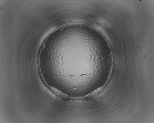 X0000073921235200608181041