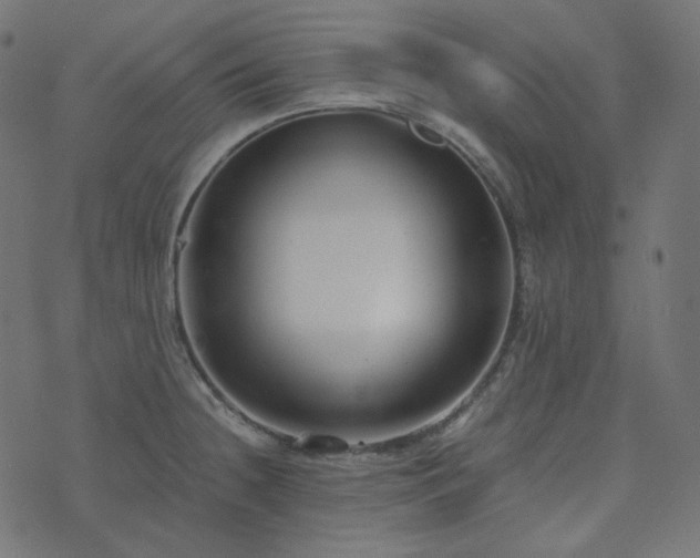 X0000073921236200608181041