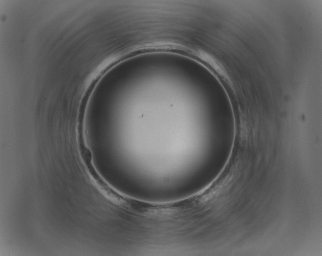 X0000073921237200608181041