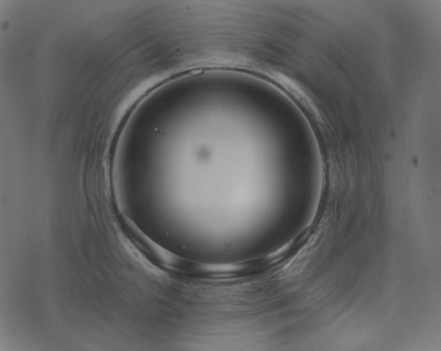 X0000073921238200608181041