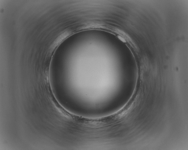 X0000073921241200608181041