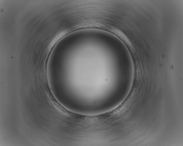 X0000073921242200608181041