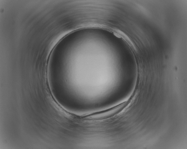 X0000073921244200608181041