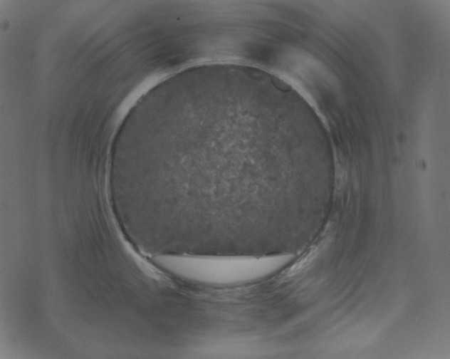 X0000073921245200608181041