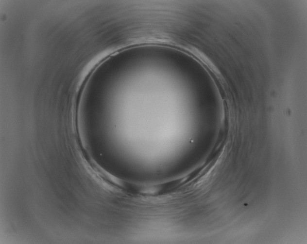 X0000073921246200608181041