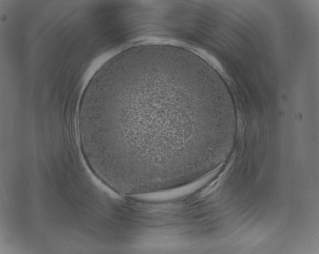 X0000073921247200608181041