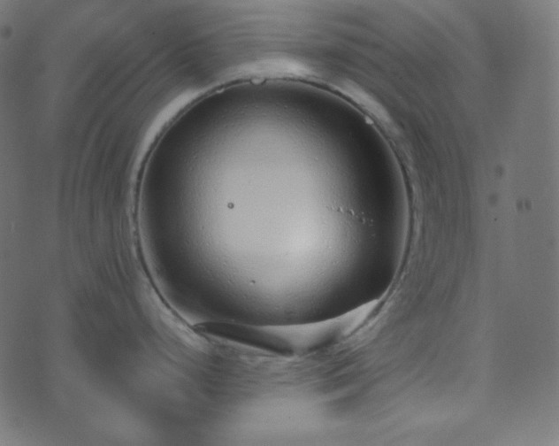 X0000073921248200608181041