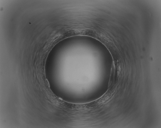 X0000073921249200608181040