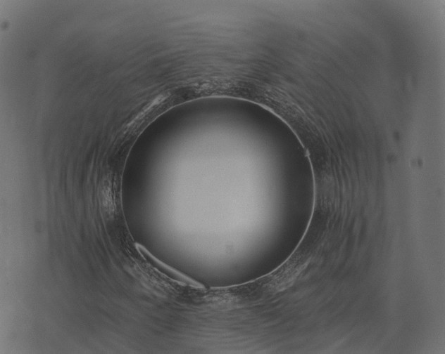 X0000073921250200608181040