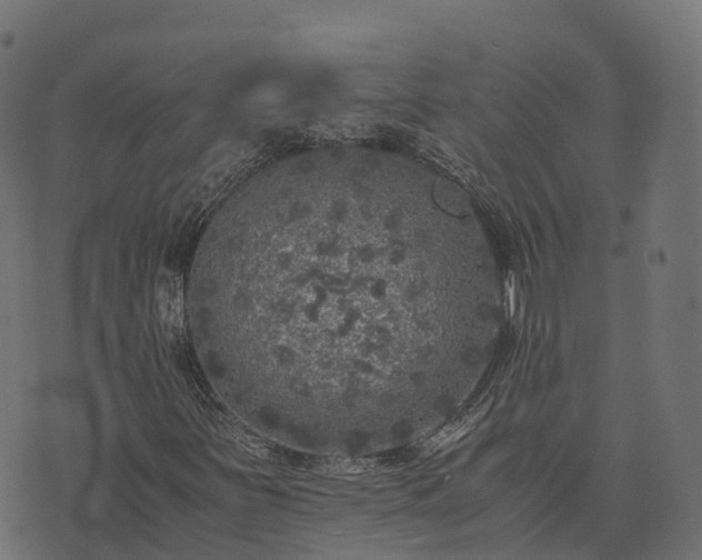 X0000073921251200608181040