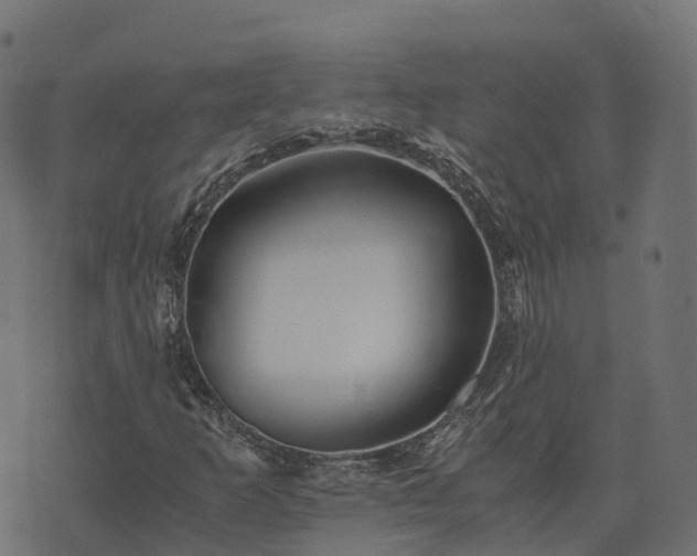 X0000073921253200608181040