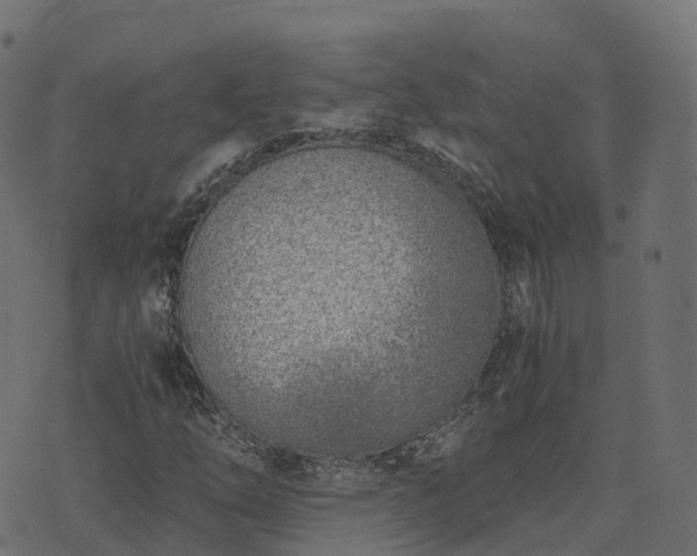 X0000073921254200608181040