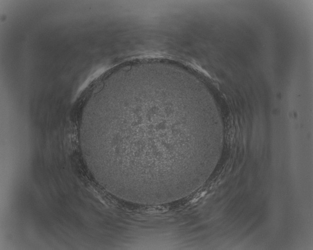 X0000073921255200608181040