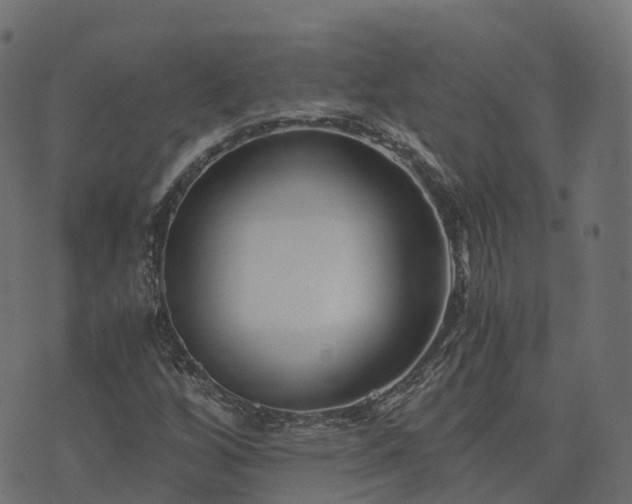 X0000073921256200608181040