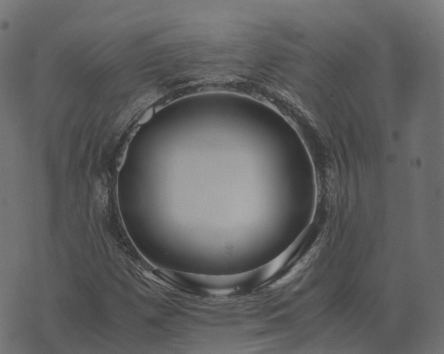 X0000073921257200608181040