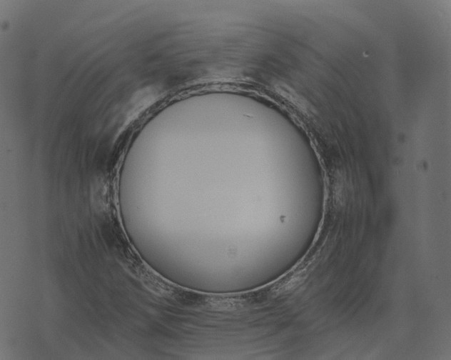 X0000073921258200608181040