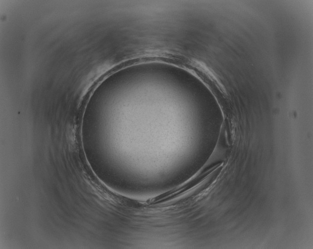 X0000073921260200608181040