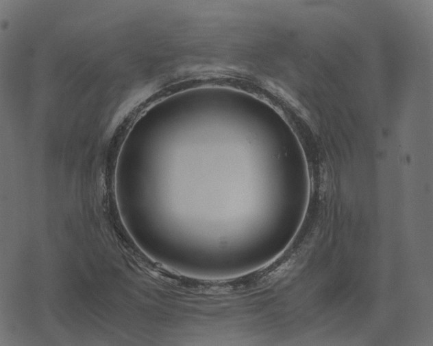 X0000073921261200608181040