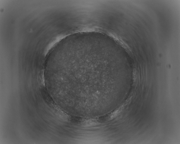 X0000073921262200608181040