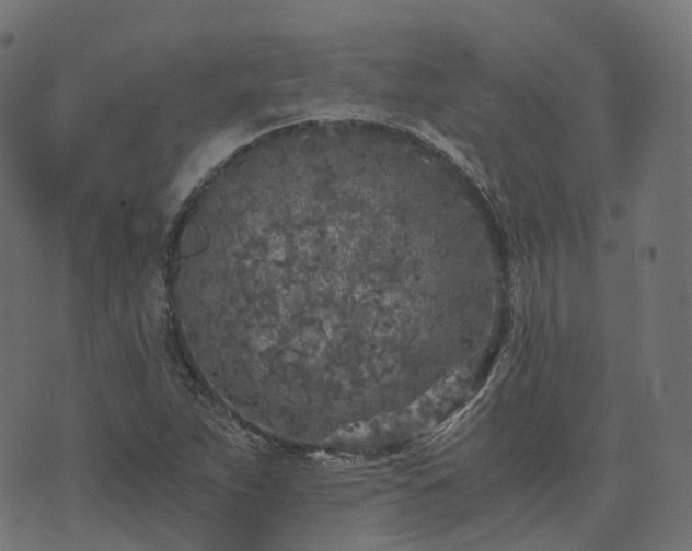 X0000073921263200608181040