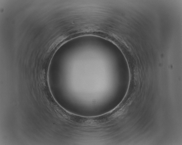 X0000073921265200608181040