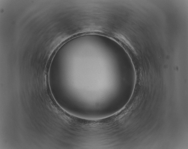 X0000073921268200608181040