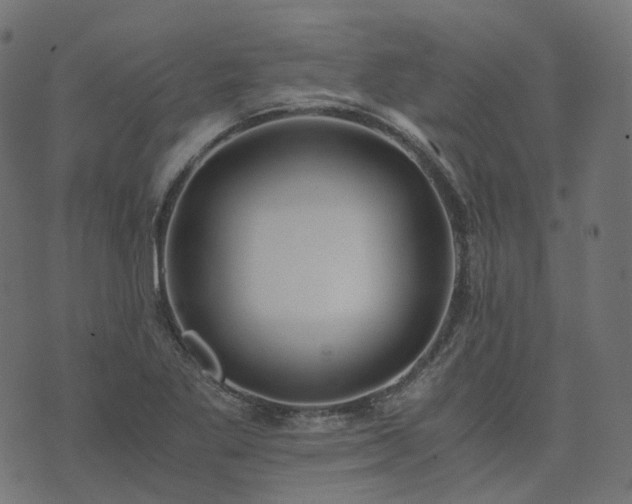 X0000073921269200608181040