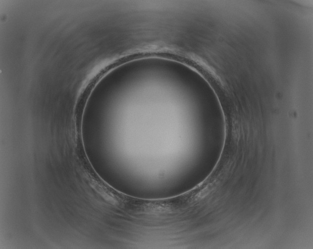 X0000073921270200608181040