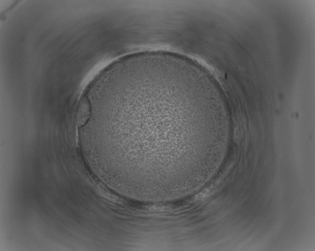 X0000073921271200608181040