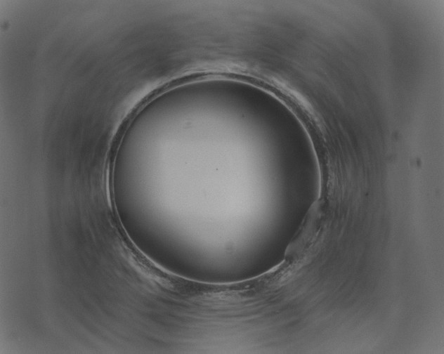 X0000073921272200608181040