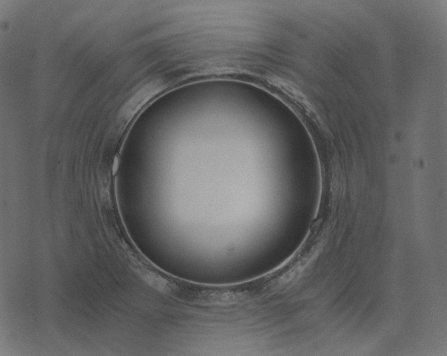 X0000073921273200608181040