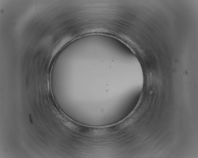 X0000073921274200608181040