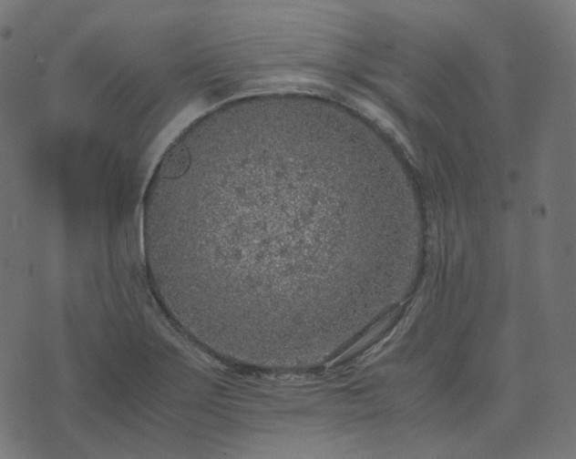 X0000073921275200608181040