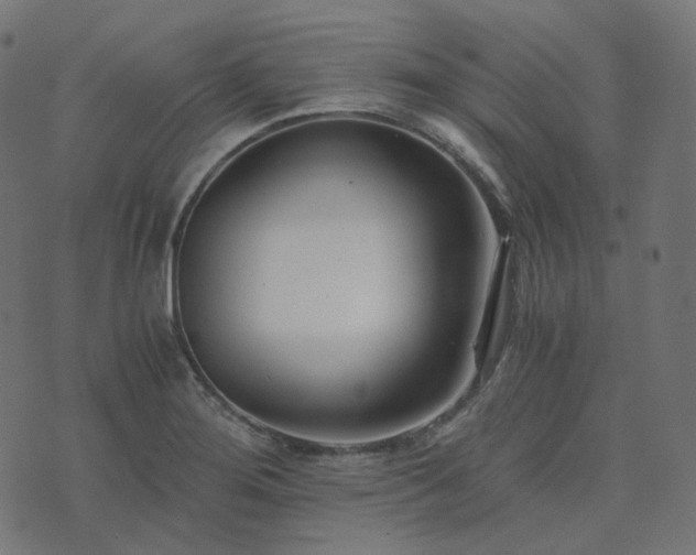 X0000073921276200608181040