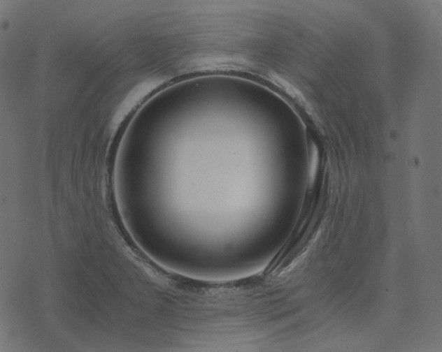 X0000073921277200608181040