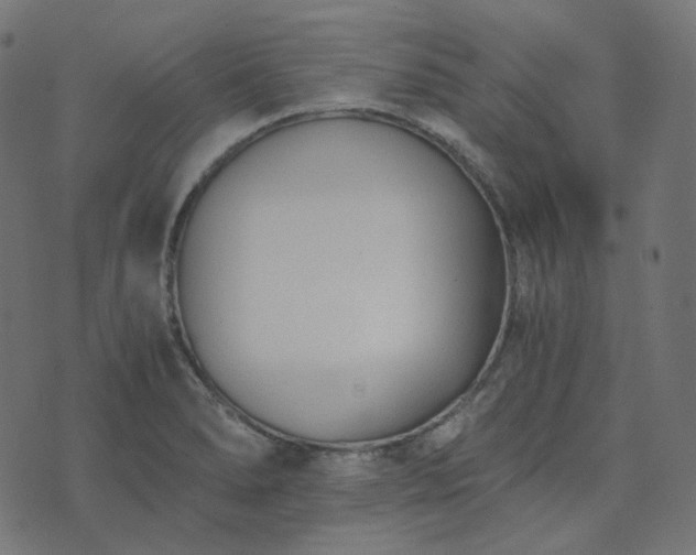 X0000073921278200608181040