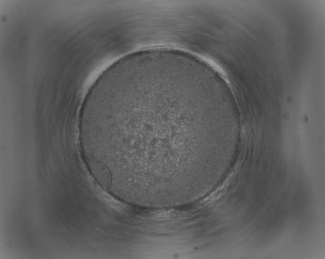 X0000073921279200608181040